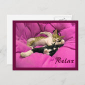 Chill Bill & Relax Max Briefkaart (Voorkant / Achterkant)