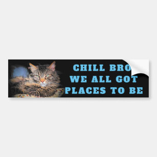 Chill Bro, we hebben allemaal plaatsen om een katt Bumpersticker