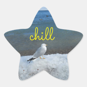 Chill Seagull relax autocollant