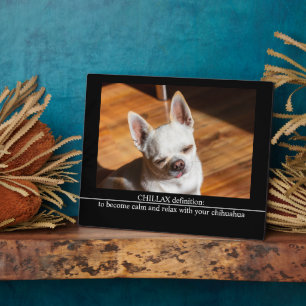 CHILLAX definitie kalm ontspannen chihuahua foto t Fotoplaat
