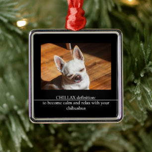 CHILLAX definitie kalm ontspannen chihuahua foto t Metalen Ornament