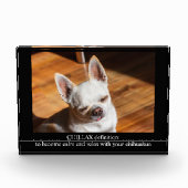 CHILLAX definition calm relax chihuahua photo text Fotoblokken (Voorkant)