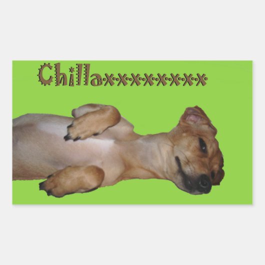 Chillaxin Chiweenie-Sticker Rechthoekige Sticker (Voorkant)