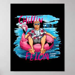 Chillin als een misdadiger zomer 2024 Trump Take A Poster