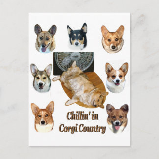 Chillin' in Corgi Briefkaart