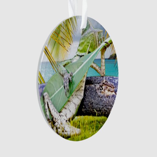 Chillin Lizzard (devant)