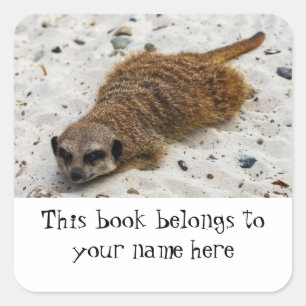 Chillin' Meerkat "Dit boek behoort tot" sticker