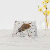 Chillin' Meerkat Folded Wenskaart Kaart (Gele Bloem)