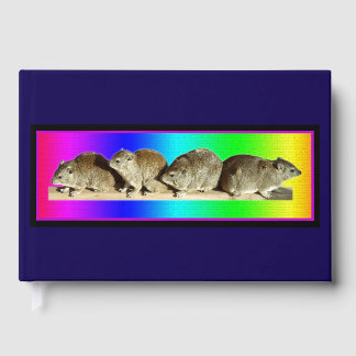 Chilling African Hyrax Gastenboek