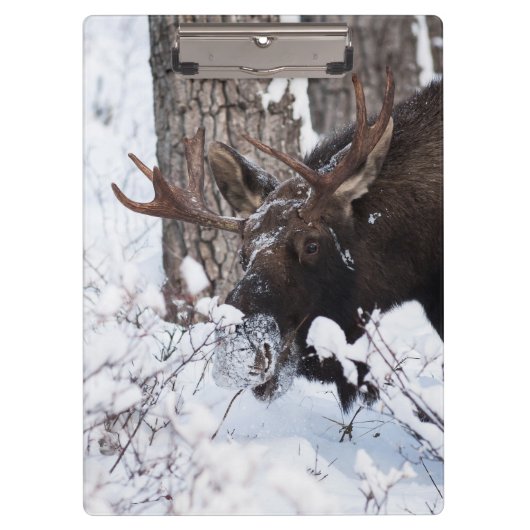 Chilly Moose Klembord (Voorkant)