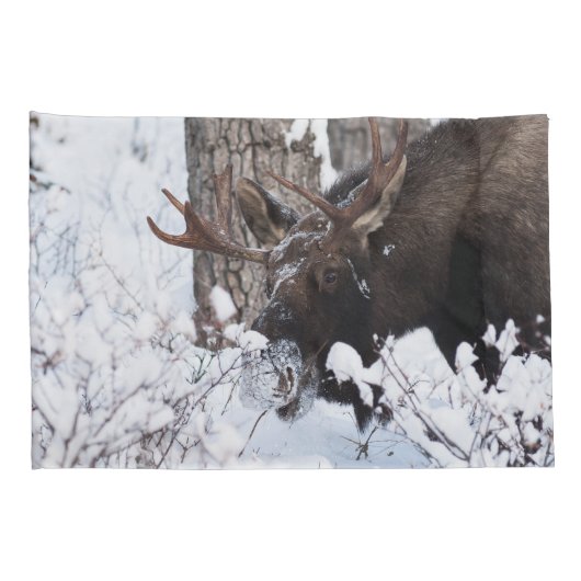 Chilly Moose Kussensloop (Achterkant-Rechts)