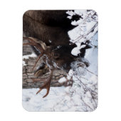 Chilly Moose Magneet (Verticaal)