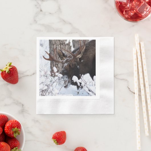 Chilly Moose Servet (Insitu)