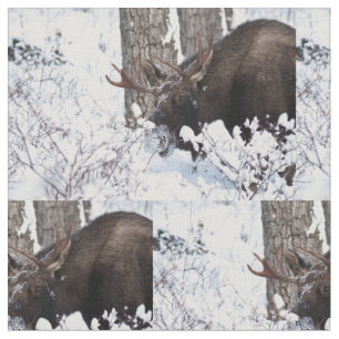 Chilly Moose Stof