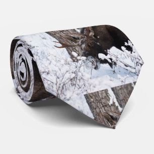 Chilly Moose Stropdas