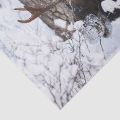 Chilly Moose Tissuepapier (Detail)