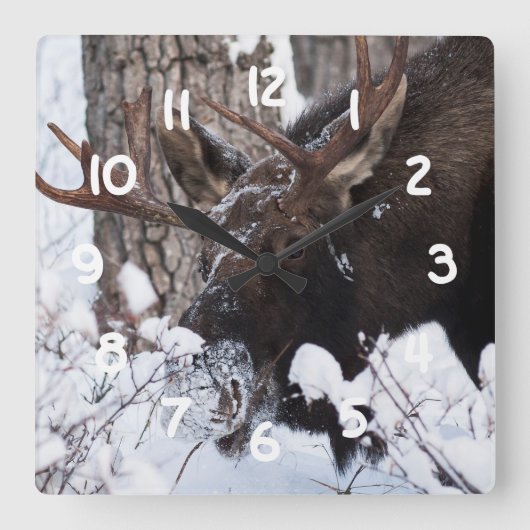 Chilly Moose Vierkante Klok (Voorkant)