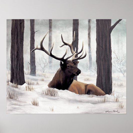 Chilly Poster (Voorkant)