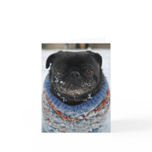 Chilly Pug Note Kaart - leeg