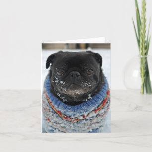 Chilly Pug Note Kaart - leeg