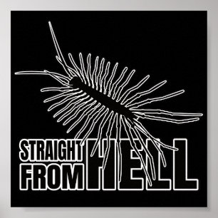 Chilopod Centipede Millipede Entomology Geek Poster