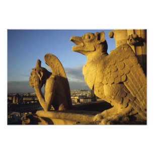 Chimera, de Damekathedraal, Parijs, Frankrijk Foto Afdruk