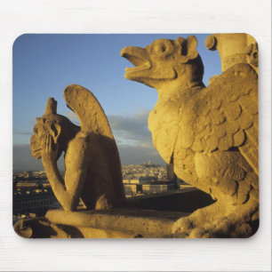 Chimera, kathedraal van Notre-Dame, Parijs, Frankr Muismat