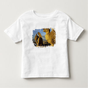 Chimera, re Dame Cathedral, Parijs, Frankrijk Kinder Shirts