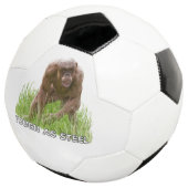 Chimie Sans Cheveux Dur En Acier (3/4)