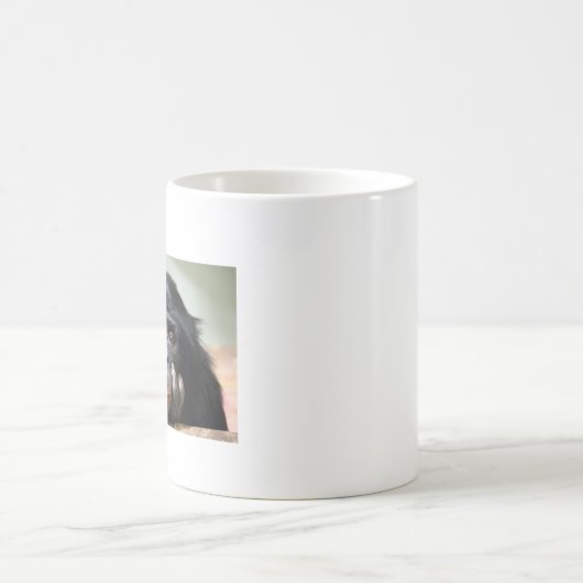 Chimp chimpansee aap mok kop (Center)