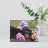 Chimp en dierenvrienden briefkaart (Staand voorkant)