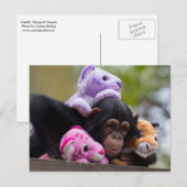 Chimp en dierenvrienden briefkaart (Voorkant / Achterkant)