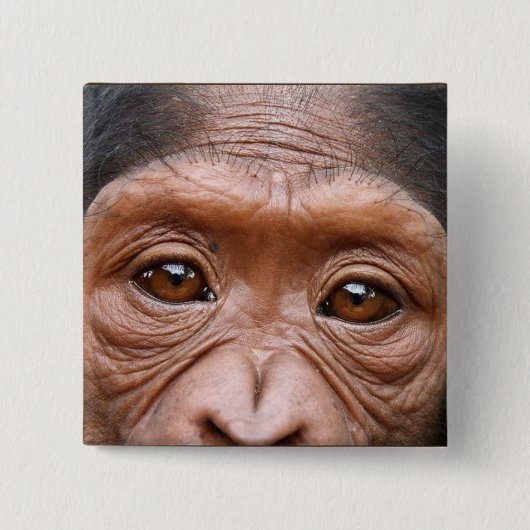 CHIMP EYES BUTTON (Voorkant)