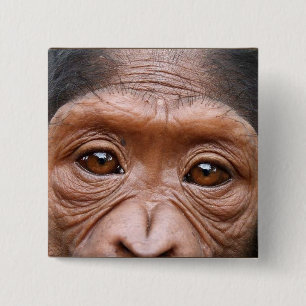 CHIMP EYES BUTTON