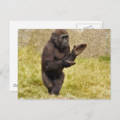ChimpanseBriefkaart Briefkaart (Voorkant / Achterkant)