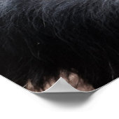 Chimpansedenken Poster (Hoek)