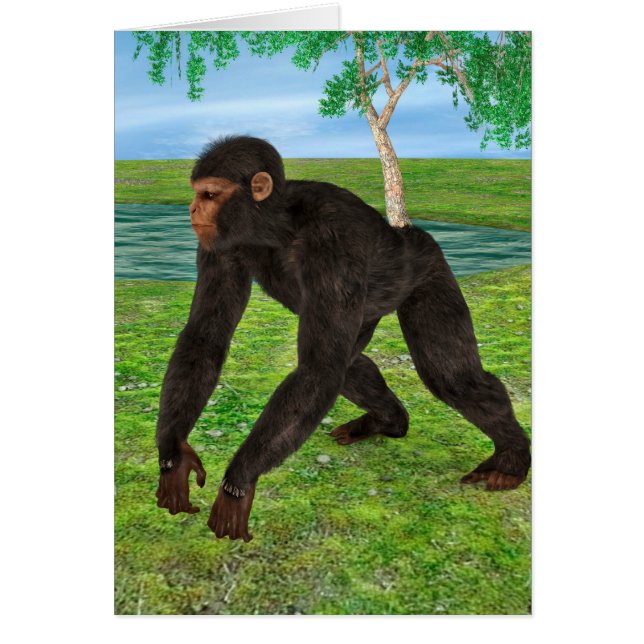 Chimpansee (Voorkant)