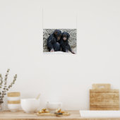 Chimpansee002 Poster (Keuken)