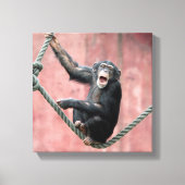 Chimpansee 001 canvas afdruk (Voorkant)