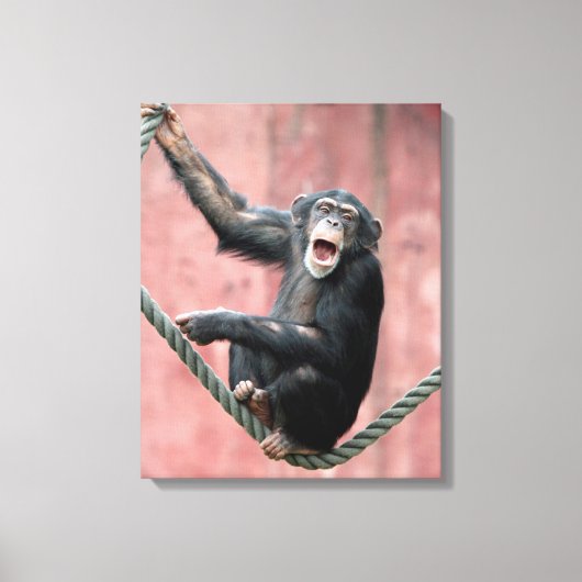 Chimpansee 001 canvas afdruk (Voorkant)