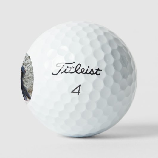 Chimpansee 002 golfballen (Logo)