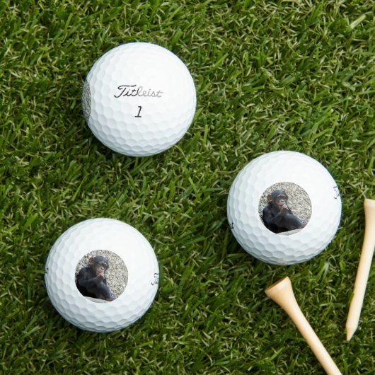Chimpansee 013 golfballen (Insitu Gras)
