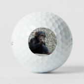 Chimpansee 013 golfballen (Voorkant)