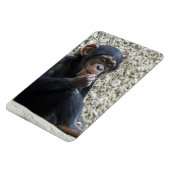 Chimpansee 013 magneet (Linkerzijde)