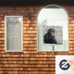 Chimpansee 013 raamsticker