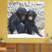 Chimpansee 022 canvas afdruk (Insitu (Woonkamer))