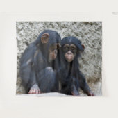 Chimpansee 022 wandkleed (Voorkant (horizontaal))