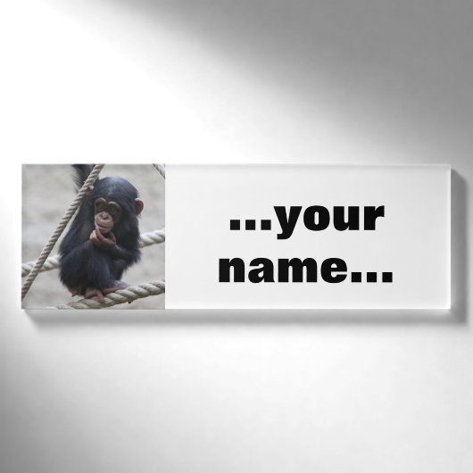 Chimpansee 030 naambadge (Voorkant)