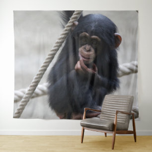 Chimpansee 030 wandkleed