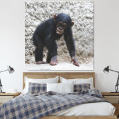 Chimpansee 031 canvas afdruk (Insitu (Slaapkamer))